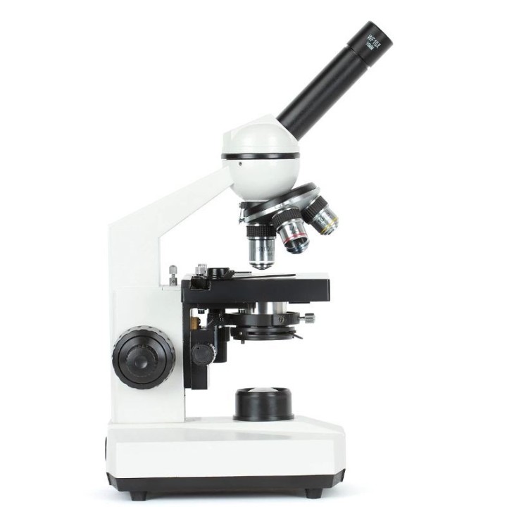 Delta Optical BioStage II Microscopio
