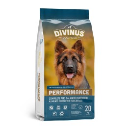 DIVINUS Performance per Pastore Tedesco - cibo secco per cani - 20 kg