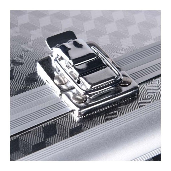 DNA Professional CASE V2 - custodia microfono/accessori