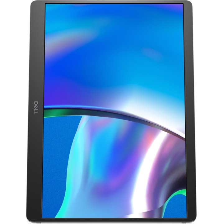 DELL Pro Plus P1425 monitor per computer 35.6 cm (14 ) 1920 x 1200 pixel WUXGA LCD argento