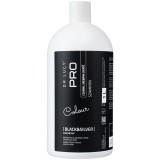 DR LUCY Black & Silver - shampoo per mantello scuro per cani - 1L