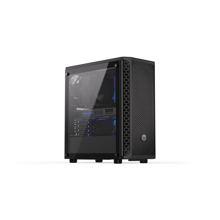 ENDORFY SIGNUM 300 CASE INTERNO