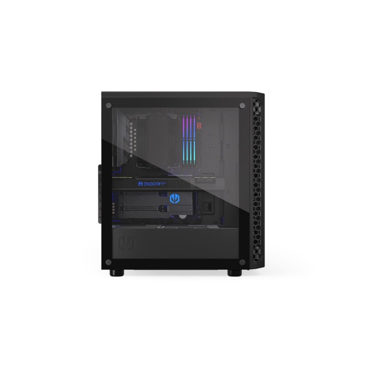 ENDORFY SIGNUM 300 CASE INTERNO