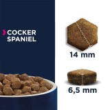 EUKANUBA Breed Specific Cocker Spaniel Adult - cibo secco per cani - 7 5kg