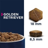 EUKANUBA Breed Specific Golden Retriever Adult - cibo secco per cani - 12kg