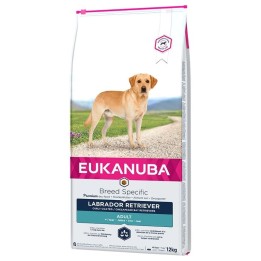 EUKANUBA Breed Specific Labrador Retriever Adult - cibo secco per cani - 12kg