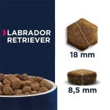 EUKANUBA Breed Specific Labrador Retriever Adult - cibo secco per cani - 12kg