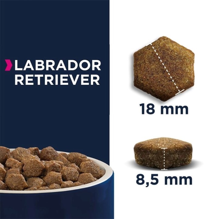 EUKANUBA Breed Specific Labrador Retriever Adult - cibo secco per cani - 12kg