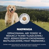 EUKANUBA Special Care Overweight Adult All Breed – cibo secco per cani – 12kg