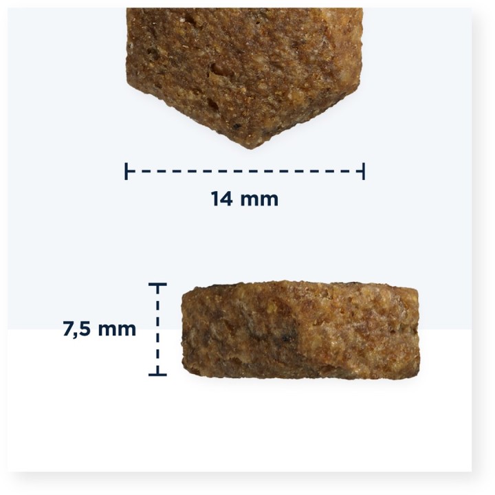 EUKANUBA Veterinary Diets dermatosi pesce & patata - cibo secco per cani - 12kg
