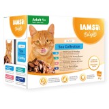 IAMS DELIGHTS Adult Mare in gelatina scatola – cibo umido per gatti – 12x85g