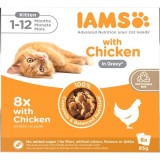 IAMS DELIGHTS Kitten in Gravy box – cibo umido per gatti – 8x85g