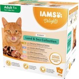 IAMS DELIGHTS Land & Sea Collection in Gravy box – cibo umido per gatti – 8x85g