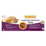 IAMS DELIGHTS Senior Land & Sea Collection in Gravy box – cibo umido per gatti – 48x85g