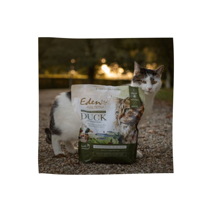 EDEN Anatra e sardina - cibo secco per gatti - 1.5 kg
