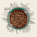 EDEN Original Cousine - cibo secco per gatti - 10 kg