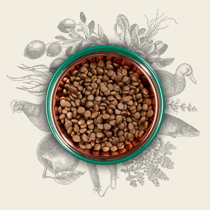 EDEN Original Cousine - cibo secco per gatti - 10 kg
