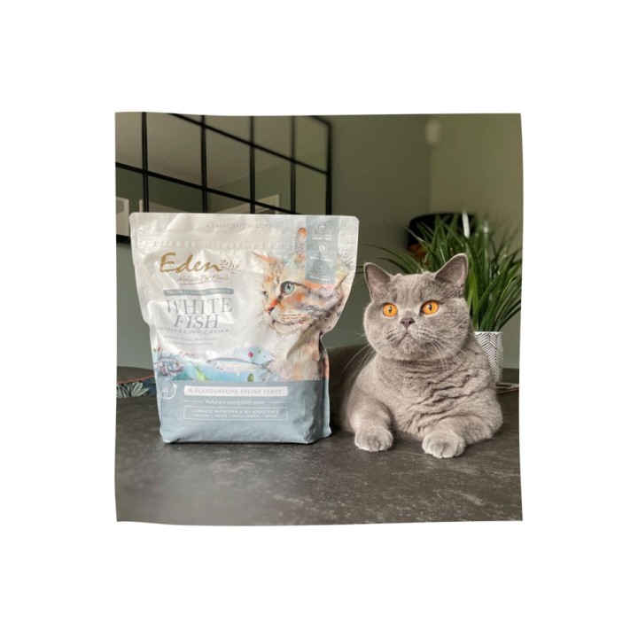EDEN Pesce bianco con caviale di aringhe - cibo secco per gatti - 1.5 kg