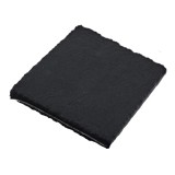 Electrolux E3RWAF01 parte/accessorio frigorifero/congelatore Filtro nero