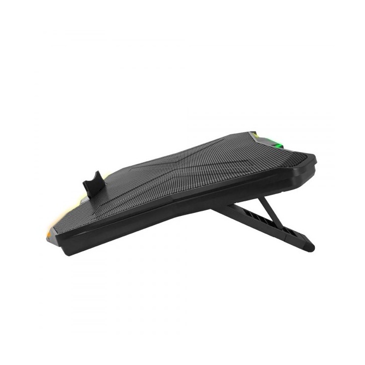 Esperanza EGC110 Raffreddamento laptop 43.2 cm (17 ) 800 RPM Nero
