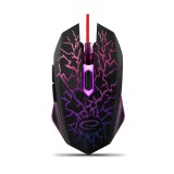 Esperanza EGM211R mouse Destrorso USB Type-A Ottico 2400 DPI