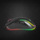 Esperanza EGM303 mouse destro USB Type-C ottico 2400 DPI