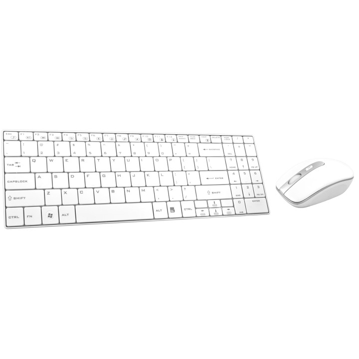 Esperanza EK122W tastiera RF wireless QWERTY bianca