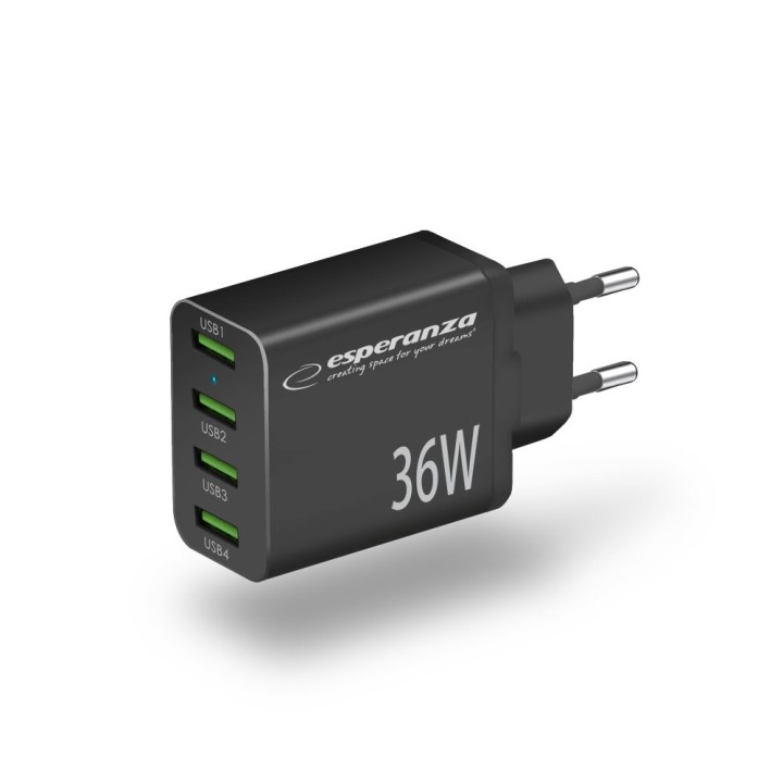 Esperanza EZC107K caricabatterie da rete 36W nero