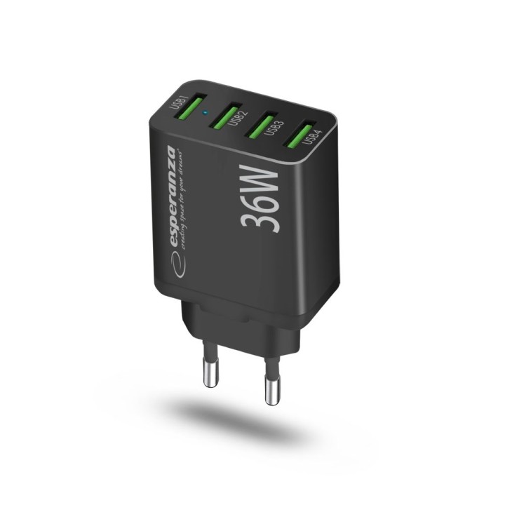 Esperanza EZC107K caricabatterie da rete 36W nero