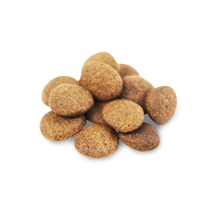 FISH4DOGS Superior Senior Medium Complete Salmone - cibo secco per cani - 12kg