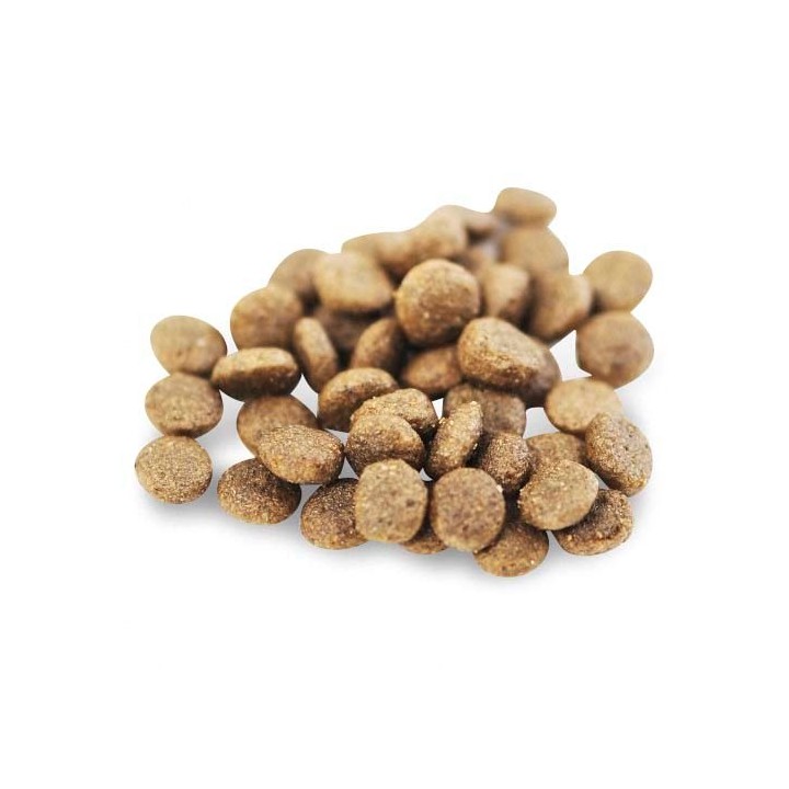 FISH4DOGS Superior Senior S Salmone - cibo secco per cani - 1 5kg