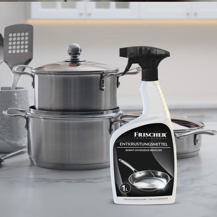 Frischer Rimuovi bruciature 1l