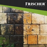 Frischer Detergente per facciate 1l