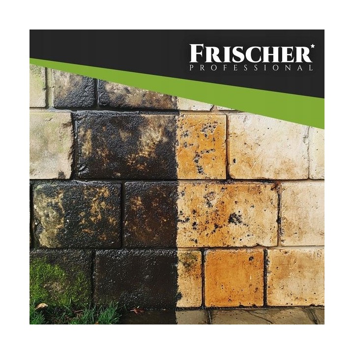 Frischer Detergente per facciate 1l