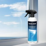 Frischer Detergente vetri con funzione anti-vapore 0 5l