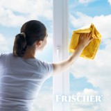 Frischer Detergente vetri con funzione anti-vapore 1l