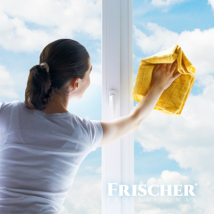 Frischer Detergente vetri con funzione anti-vapore 1l