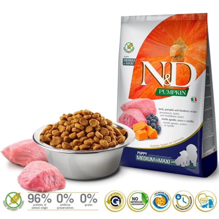 FARMINA N&D GF ZUCCA CANE AGNELLO&MIRTILLO CUCCIOLO MEDIUM/MAXI 12kg