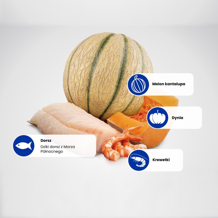 FARMINA N&D Oceano Gatto Merluzzo Gambero Zucca e Melone Cantalupo Gattino - cibo secco per gatti - 1.5 kg