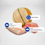 FARMINA N&D Oceano Cane Salmone Merluzzo Melone Cantalupo Adulto Mini - cibo secco per cani - 2.5 kg