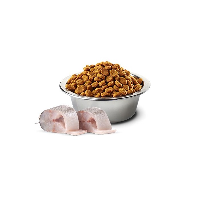 FARMINA N&D Spigola Spirulina e Finocchio Adulto Mini - cibo secco per cani - 2 kg
