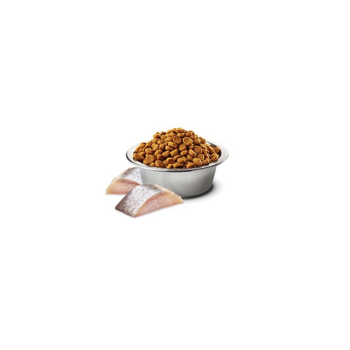 FARMINA N&D Spirulina Aringa - cibo secco per gatti - 1.5 kg