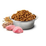 Farmina Cibo per animali N&D Cereali Ancestrali Canino 15 kg Adulto Pollo