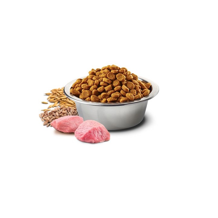 Farmina Cibo per animali N&D Cereali Ancestrali Canino 15 kg Adulto Pollo