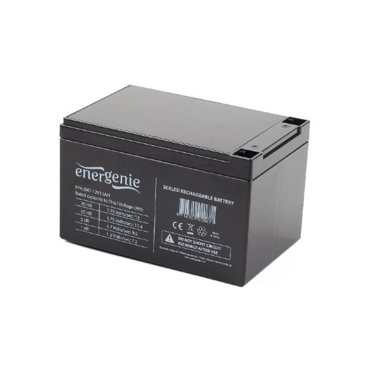 Gembird BAT-12V12AH UPS batteria piombo-acido sigillata (VRLA) 12 V 12 Ah