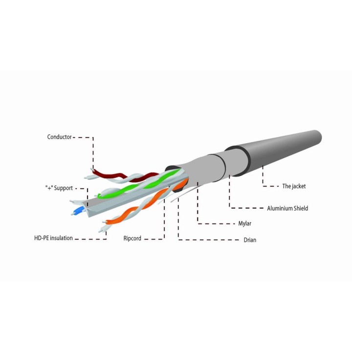 Gembird CAT6 FTP 100m cavo di rete grigio F/UTP (FTP)