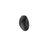 Gembird MUSW2-6B-02 Mouse wireless dual-mode (2.4G + BT) 2400 DPI 6 pulsanti nero