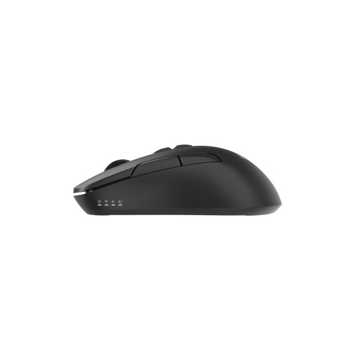 Gembird MUSW2-7B-01 Mouse wireless dual-mode (2.4G + BT) 1600 DPI 7 pulsanti nero