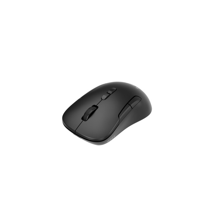 Gembird MUSW2-7B-01 Mouse wireless dual-mode (2.4G + BT) 1600 DPI 7 pulsanti nero