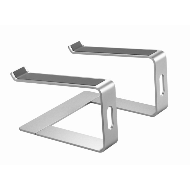 Gembird NBS-D1-01 supporto laptop alluminio argento 39.6 cm (15.6 )